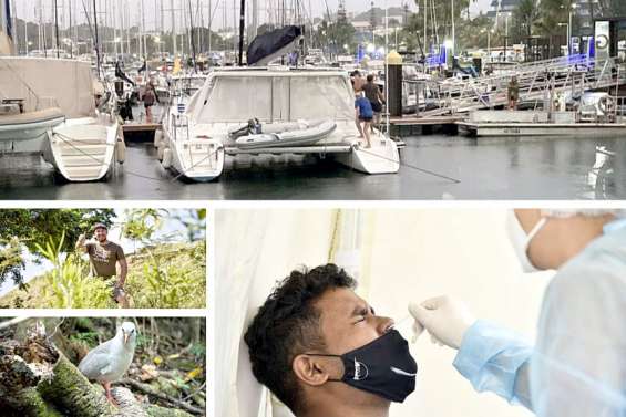 Le tour de l’actualité du vendredi 11 février en Nouvelle-Calédonie