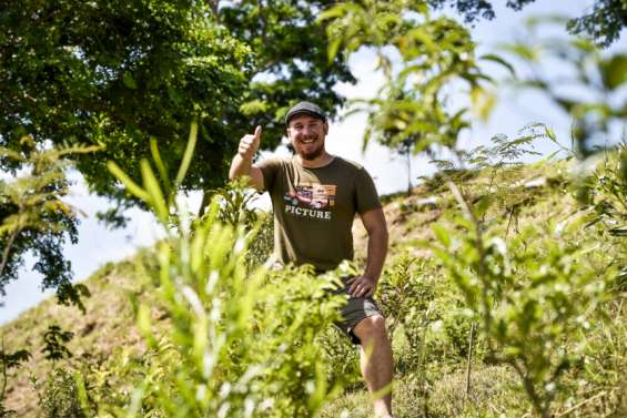 Caledoclean veut plus de forêts  dans la ville