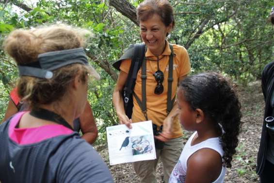 Les explications et les précisions de l'experte Isabelle Jollit