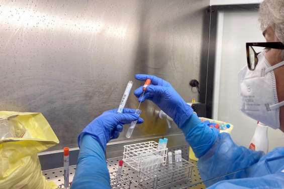 Covid : 1 958 nouveaux cas détectés en vingt-quatre heures