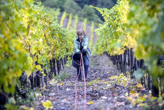 Les Alsaciens veulent retrouver leur région