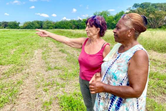 [VIDÉO] Les fortes pluies à répétition mettent les maraîchers à rude épreuve