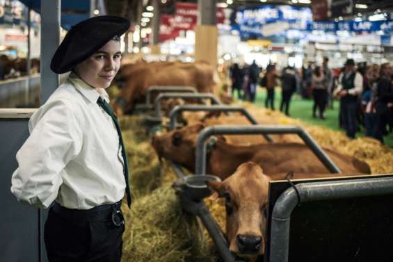Paris : le Salon de l'agriculture est de retour