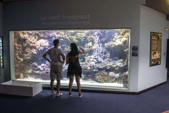 L'aquarium des Lagons a lancé une consultation publique