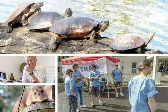 Le tour de l'actualité du jeudi 3 mars en Nouvelle-Calédonie