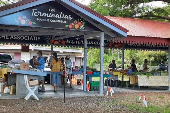 Nocturnes annoncées au marché des Terminalias