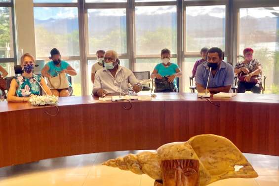 [GROS PLAN] Bientôt des femmes au Sénat coutumier ?