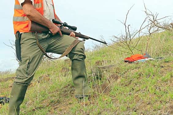 Le nouveau système d’information sur les armes entrera en vigueur en 2023