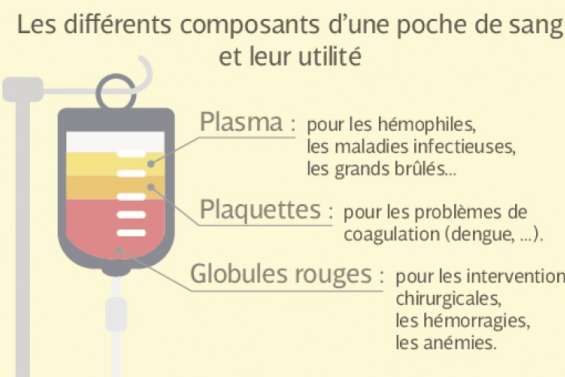 Don du sang et idées reçues