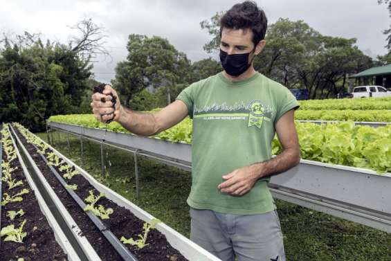 Les pluies de janvier et la dépression Dovi reconnues calamités agricoles