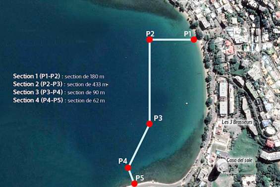 Une barrière anti-requins à la baie des Citrons pour la fin de l'année ?