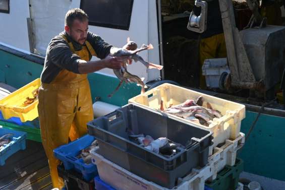 Batterie d'aides face à la crise ukrainienne