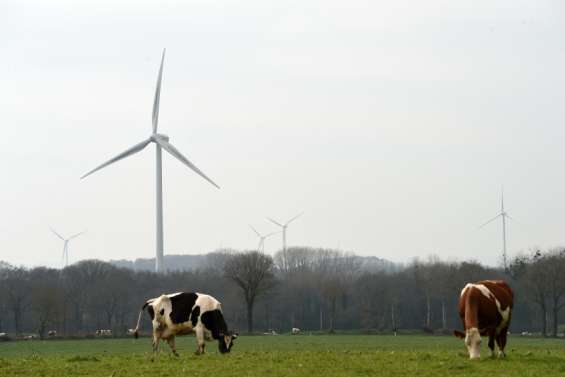 Des plaintes après le blocage d'un train pour l'alimentation animale