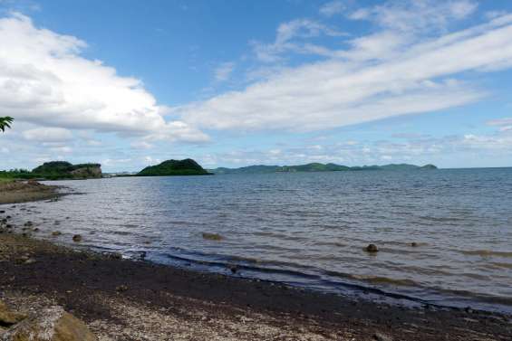 Dumbéa. Les balises livrent des premières informations sur le passage des requins