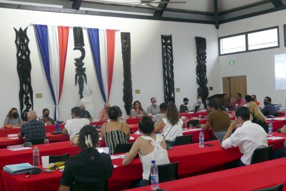 Le conseil municipal du Mont-Dore s'inquiète de la pertinence du Bac ferries