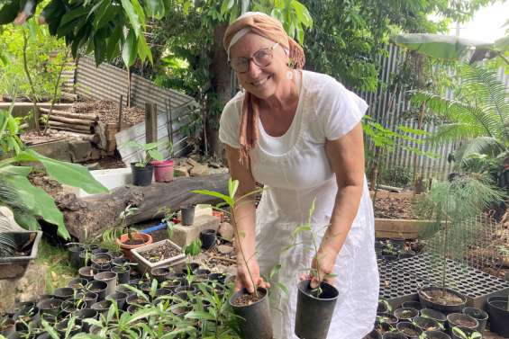 Mocamana : des projets au service de la nature et de la population