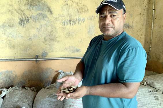 [VIDÉO] L'huilerie d'Ouvéa se structure pour augmenter sa production