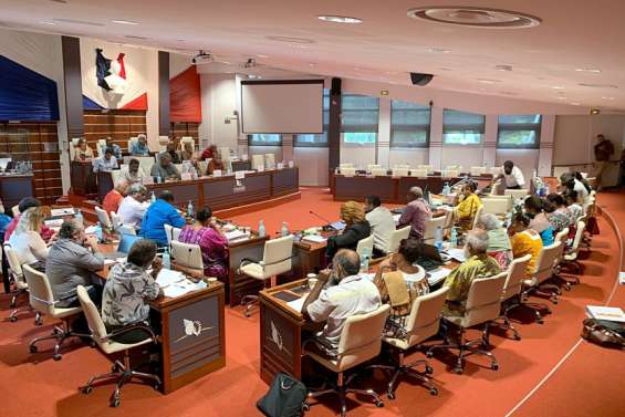 Budget 2022 : les loyalistes quittent l’hémicycle du Congrès