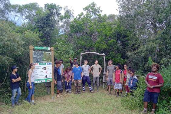 Le sentier de la forêt sèche de Tipenga, à Pouembout, est désormais accessible au public