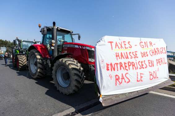 Les candidats au chevet de l'agriculture