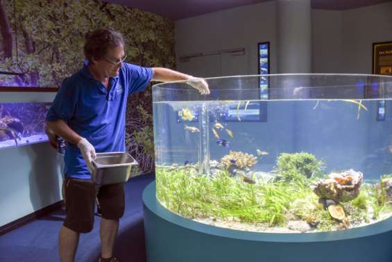 Dans les coulisses du nourrissage des pensionnaires de l'Aquarium
