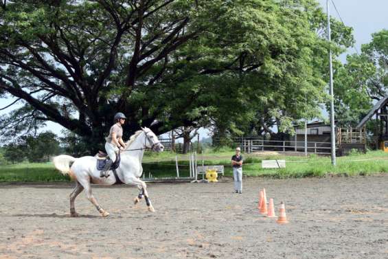 À La Tamoa, terre d'élevage, l'équitation se développe 