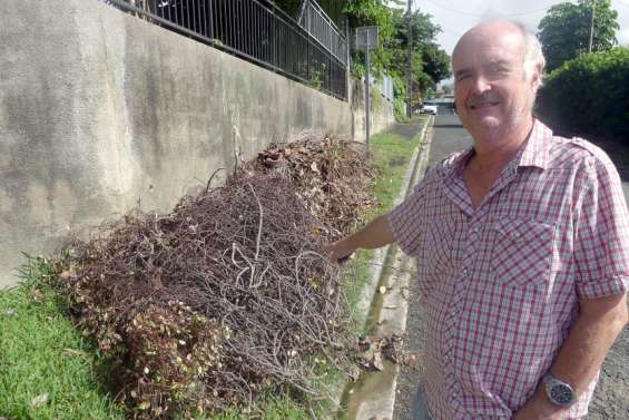 [Dumbéa] Depuis que la collecte est sur rendez-vous, les déchets verts s'accumulent