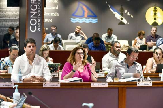 La création des Loyalistes bouleverse la donne au Congrès