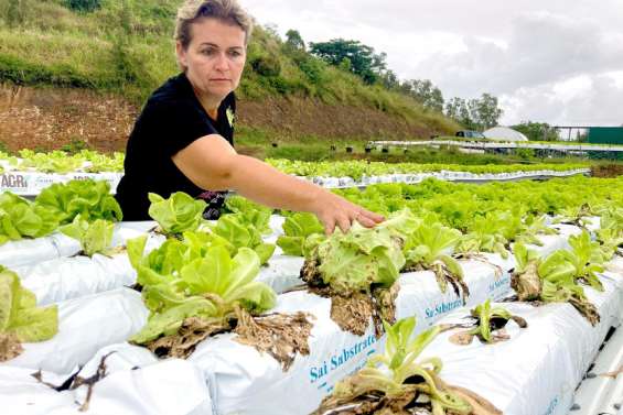 [VIDÉO] Intempéries et assurances : le coup de gueule d'une agricultrice de Bourail