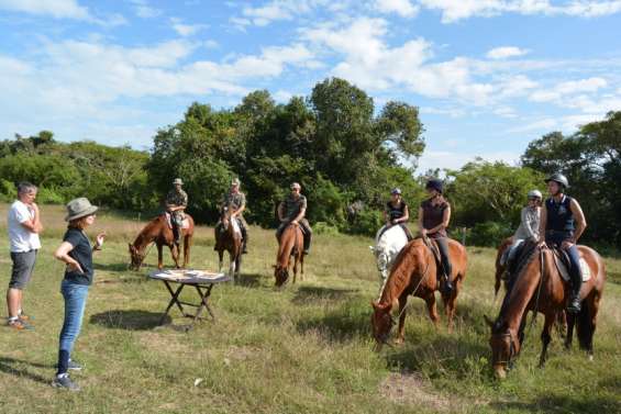 Un nouveau diplôme pour les accompagnateurs  à cheval