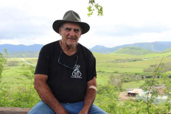 La province Sud œuvre pour le reboisement de son territoire