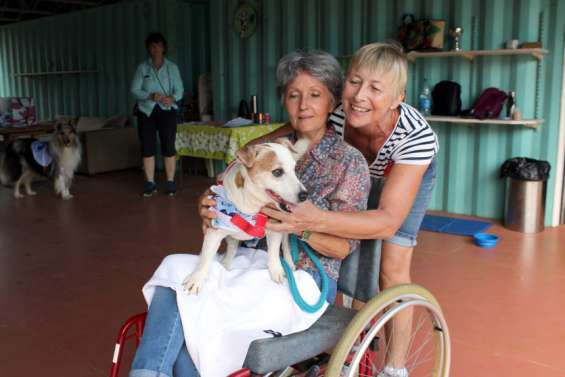 Des chiens formés pour rendre visite aux personnes âgées ou hospitalisées