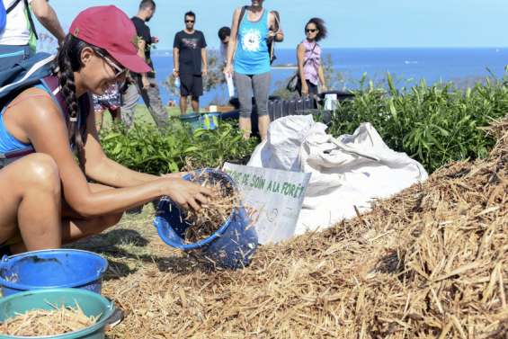 La forêt sera mise à l'honneur samedi au Ouen Toro