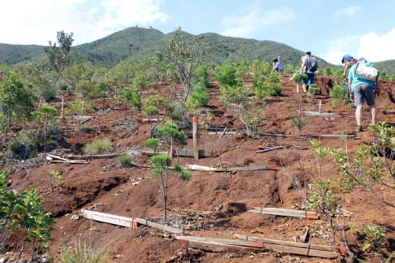 Service civique : comment s’engager ?