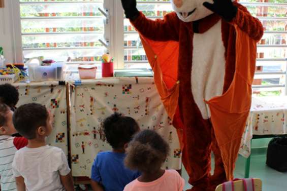 Une roussette  à la maternelle