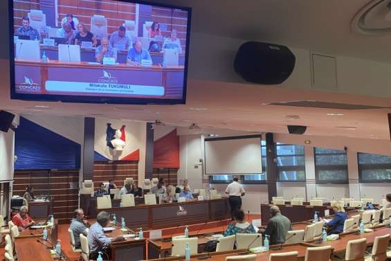 Aéroport de Magenta : la délégation de service public de type affermage adoptée