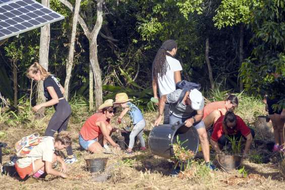 Cinquième Fête de la forêt : les arbres s'épanouissent à la cime du Ouen Toro