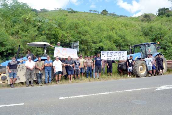 Les agriculteurs en colère et en quête de perspectives