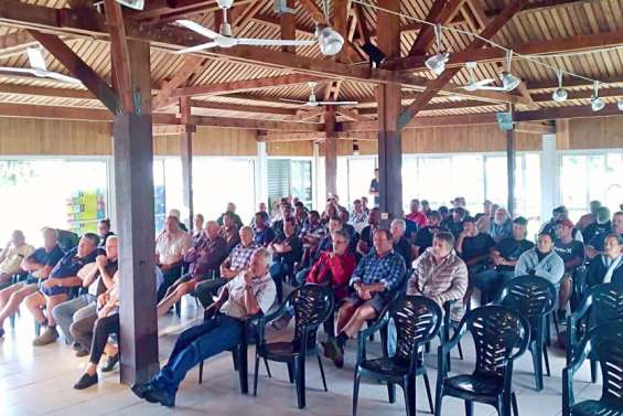 Les agriculteurs veulent se fédérer pour survivre