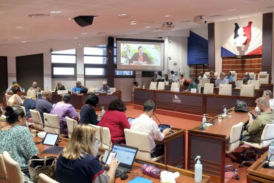 Congrès : Les Loyalistes et l’Avenir en confiance s’opposent à la réforme fiscale du gouvernement