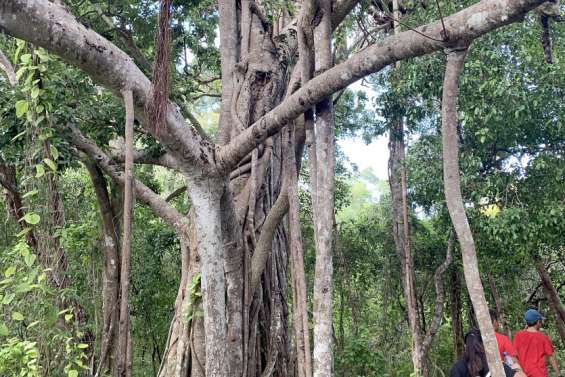 Les principaux rendez-vous