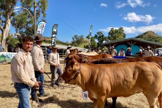 La Foire aura bien lieu cette année