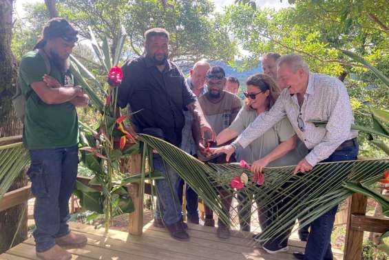 Avec son arboretum, le parc des Grandes Fougères inaugure le premier de ses grands projets