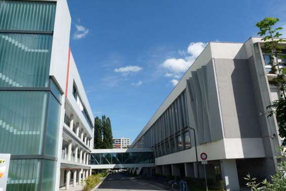 L'Université de Strasbourg fait la lumière sur son passé