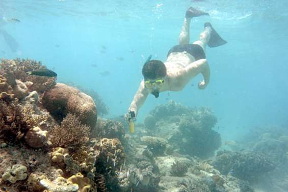 Australie : 91 % de la Grande Barrière de corail a subi un 