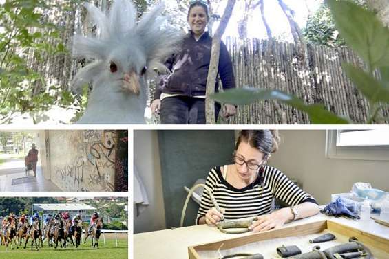 Le tour de l’actualité du 12 mai en Nouvelle-Calédonie