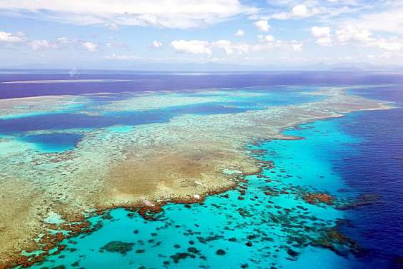 91 % de la Grande Barrière a subi un 