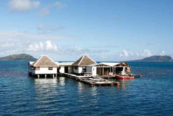 Le poids de l'économie bleue dans la Polynésie française