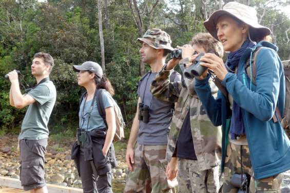 [Mont-Dore] Observer tous les oiseaux endémiques, le défi d'un petit groupe de passionnés