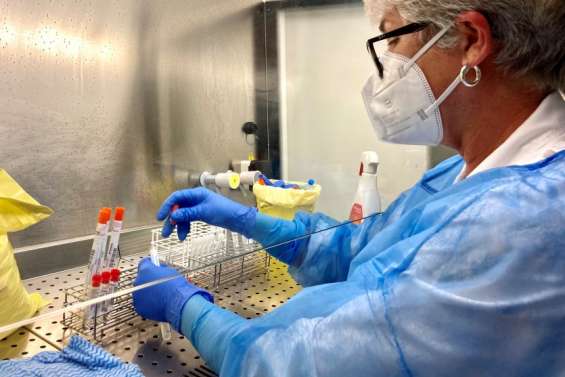 Covid : le nombre de cas toujours en hausse